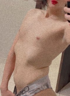 دلوع فالبحرين - Acompañantes transexual in Al Manama Photo 9 of 13