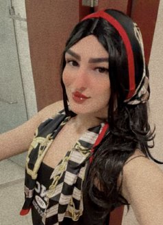 مغربي 22 سنتم - Transsexual escort in Al Manama Photo 12 of 12