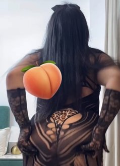شيميل مربربه - Transsexual escort in Al Manama Photo 9 of 10