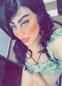 ساندي شيميله - Transsexual escort in Cairo Photo 13 of 14