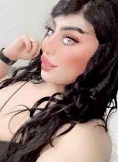 ساندي شيميله - Transsexual escort in Cairo Photo 14 of 14