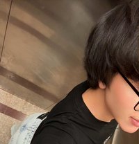 شوشو - Transsexual escort in Dammam