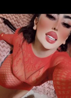 ساندي شيميله - Transsexual escort in Jeddah Photo 20 of 21