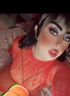 ساندي شيميله - Transsexual escort in Jeddah Photo 21 of 21