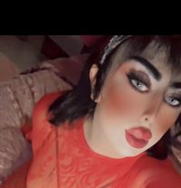 ساندي شيميله - Acompañantes transexual in Jeddah