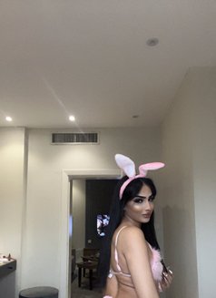 شيوم المغربية 🇲🇦 - Transsexual escort in Jeddah Photo 17 of 19