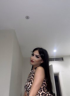شيوم المغربية 🇲🇦 - Transsexual escort in Jeddah Photo 18 of 19