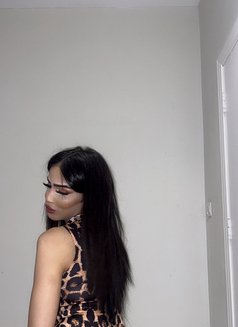 شيوم المغربية 🇲🇦 - Transsexual escort in Jeddah Photo 19 of 19