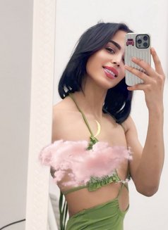 شموس🫶 - Transsexual escort in Jeddah Photo 1 of 8