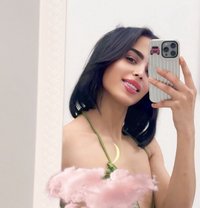 شموس🫶 - Transsexual escort in Jeddah
