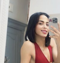 شموس🫶 - Transsexual escort in Jeddah