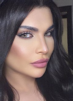 قمر الكون 🇸🇦 - Acompañantes transexual in Jeddah Photo 10 of 10
