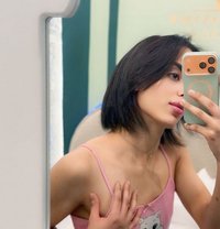 شموس بجدة🇸🇦 - Transsexual escort in Jeddah