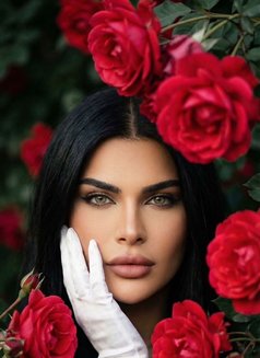 قمر الكون 🇸🇦 - Transsexual escort in Doha Photo 15 of 17