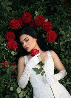 قمر الكون 🇸🇦 - Transsexual escort in Doha Photo 16 of 17