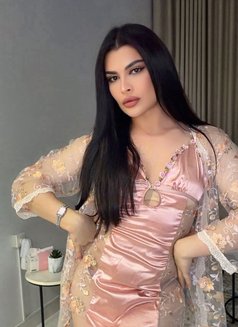 قمر الكون 🇸🇦 - Transsexual escort in Doha Photo 17 of 17