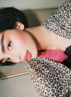 شموس بجدة🇸🇦 - Acompañantes transexual in Jeddah Photo 17 of 22