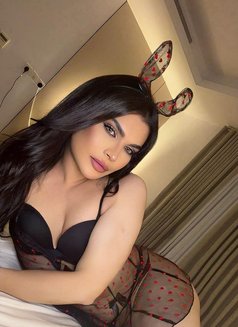 قمر الكون 🇸🇦 - Acompañantes transexual in Jeddah Photo 9 of 11