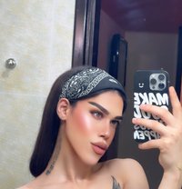 سيف🫶🏻 - Acompañantes transexual in Muscat