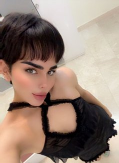 شوشو - Acompañantes transexual in Muscat Photo 1 of 3