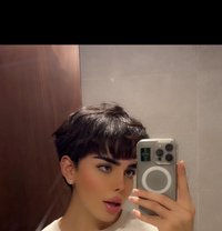شوشو - Transsexual escort in Muscat