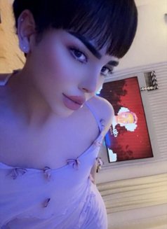 شوشو - Acompañantes transexual in Muscat Photo 4 of 5