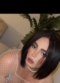 علوشي - Transsexual escort in Muscat Photo 2 of 9