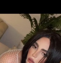 علوشي - Acompañantes transexual in Muscat