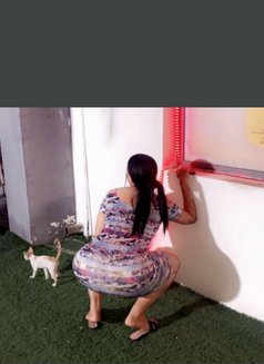 سلطان🥰خليج🥵في🤤مسقط - Transsexual escort in Muscat Photo 5 of 12