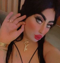 لؤلؤهشيميله مربربه - Acompañantes transexual in Muscat