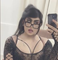 شيميل مربربه - Transsexual escort in Muscat