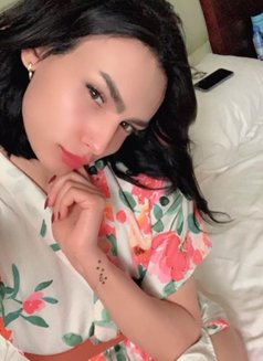 زيزي شيميل - Transsexual escort in Riyadh Photo 1 of 6