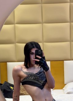 سيف المملكة - Transsexual escort in Riyadh Photo 6 of 8