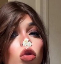 مغربي مخصر نحيف - Transsexual escort in Dubai