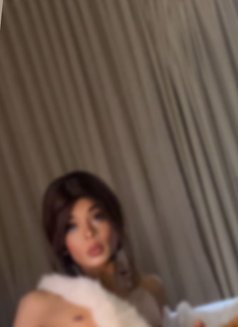 الحجمم الكبير المغربي ك - Acompañantes transexual in Muscat Photo 6 of 6