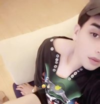 شمس الخليج - Transsexual escort in Khobar
