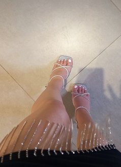 سندس العرب - Transsexual escort in Riyadh Photo 10 of 10