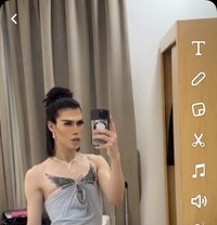 سيفو - Transsexual escort in Marrakech