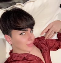 شدوي - Transsexual escort in Dammam