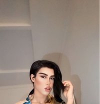 سيف المملكة - Transsexual escort in Marrakech