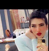 فراس دلوعه - Acompañantes masculino in Al Manama