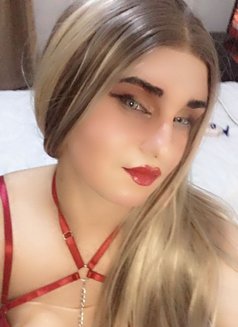 دلوع مغربي مبادل - Male escort in Dammam Photo 6 of 6