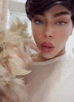 دلوع نوعين - Acompañantes masculino in Casablanca Photo 6 of 10