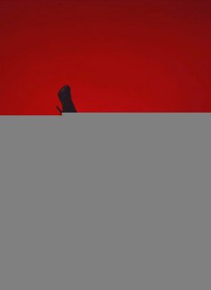 𝔇𝔢𝔪𝔦 𝔇𝔬𝔩𝔩 - Transsexual dominatrix in Tel Aviv Photo 7 of 8