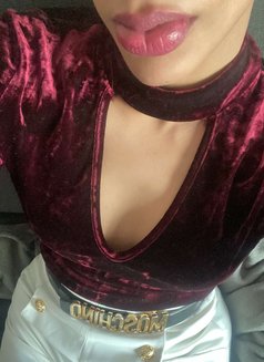 شيميل جي جي سي - Transsexual escort in Al Manama Photo 7 of 10