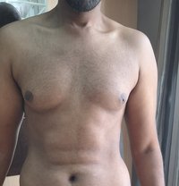 فحل سوداني بحرين ١٨سم - Acompañantes masculino in Al Manama