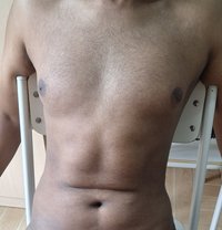 فحل سوداني بحرين ١٨سم - Acompañantes masculino in Al Manama