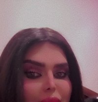 مادلين شيميل - escort in Damascus