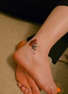 سيسي سوريا - escort in Dubai Photo 16 of 17