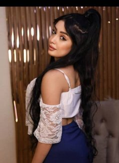 لولو - escort in Erbil Photo 1 of 2